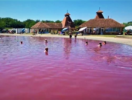 Misterija roze jezera u Bačkoj: Tajna o kojoj donedavno niko ništa nije znao