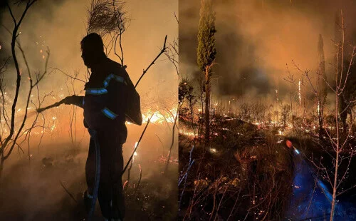 Lokalizovan veliki požar u Novom Sadu